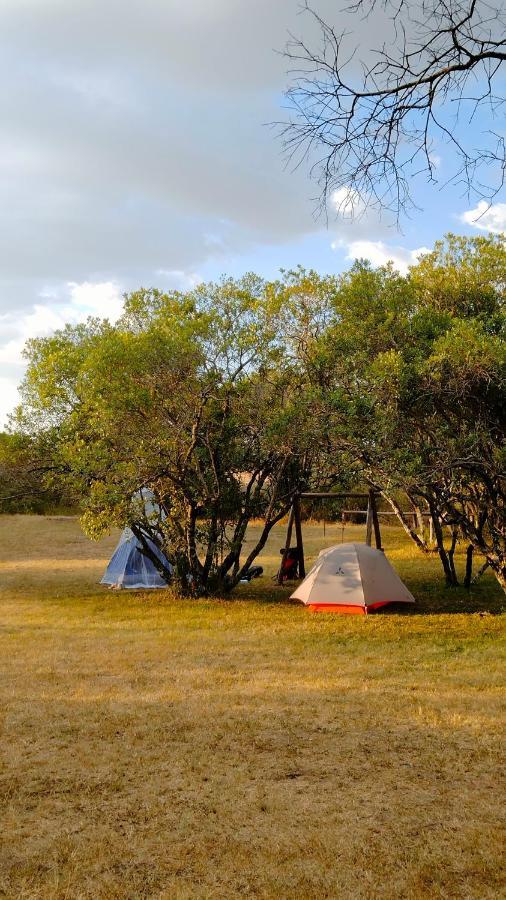 Greenwood Safari Camp Hotel Talek Exterior photo